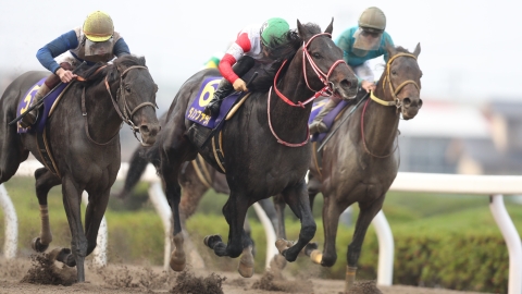 川崎記念21特集 Netkeiba Com 競馬予想 結果 速報 オッズ 出馬表 出走予定馬 騎手 払戻など競馬最新情報